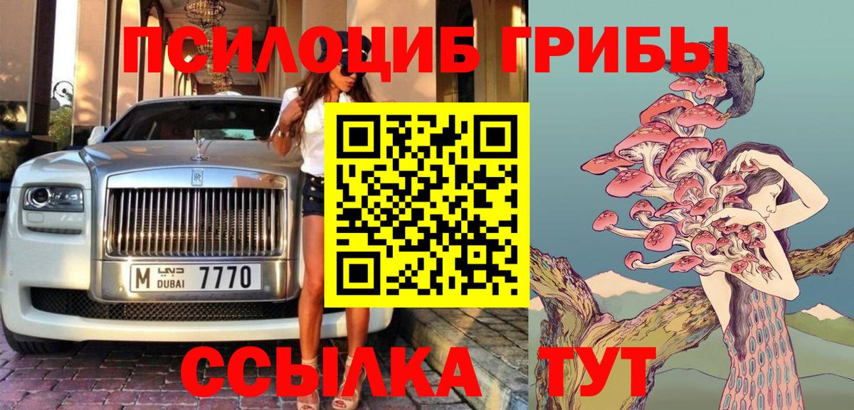 Псилоцибиновые грибы Psilocybe Гай