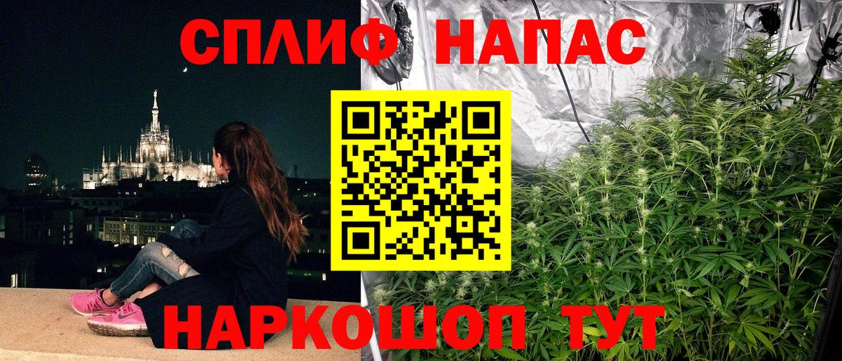 Конопля AK-47  Бошки марихуана марихуана  Бошки марихуана Ganja  Бошки марихуана тримм  Вход с VPN  Гай 